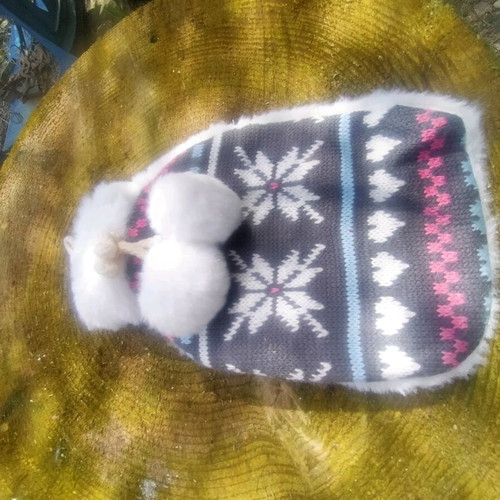 Winter hat used with fluffy pom-poms