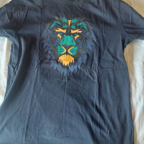 Gap T-shirt blue size XXL for 12-14 years like new