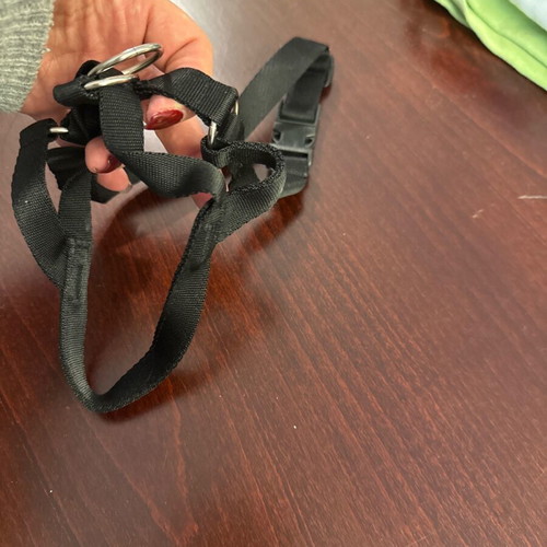 Dog harness size 4 new