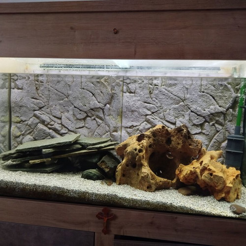 Aquarium furniture 350 liters used with EHEIM filter and LED lighting