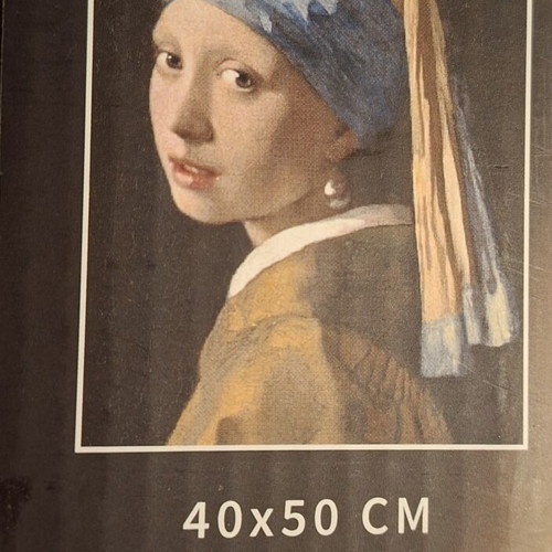 Diamond painting The Girl with the Pearl 40x50 cm new