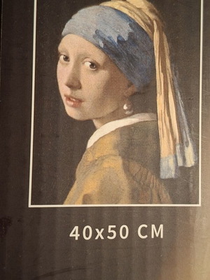 Diamond painting The Girl with the Pearl 40x50 cm new
