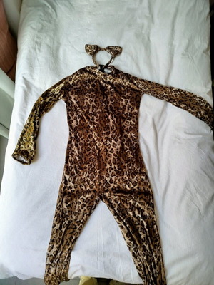 Cat carnival costume like new