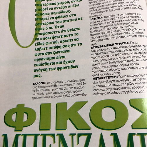 O Kipos & To Spiti Issue 3 1995 Used