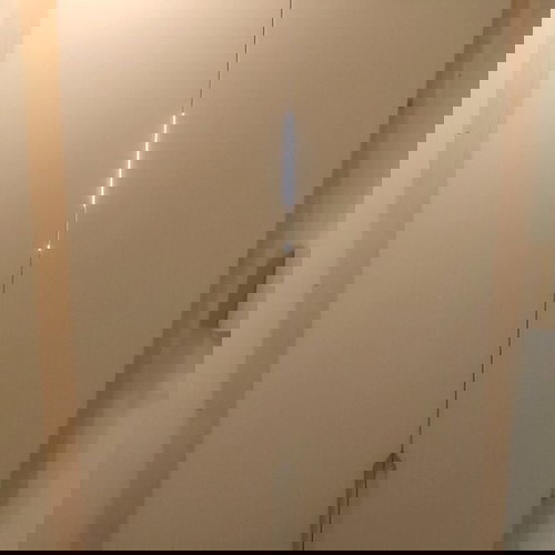 Μασιφ φύλλα ντουλάπας καινούργια, ατόφιο ξύλο, 3 τεμάχια, χρώμα 9003