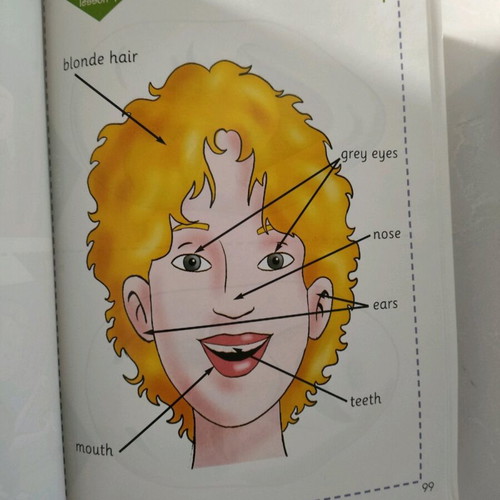 Welcome plus 1 English learning book new with pictures for young classes