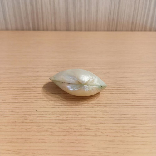 Natural polished mother-of-pearl shell
