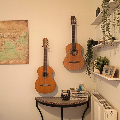Chateau C08/09/DG acoustic guitar used with wall mount and floor stand