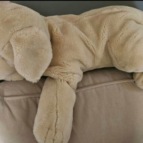 Large plush dog like new