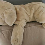 Large plush dog like new
