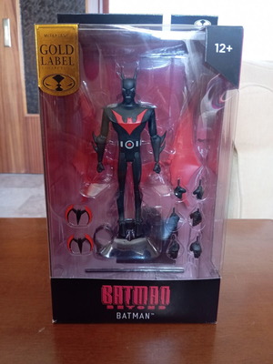 DC Direct Batman Beyond action figure