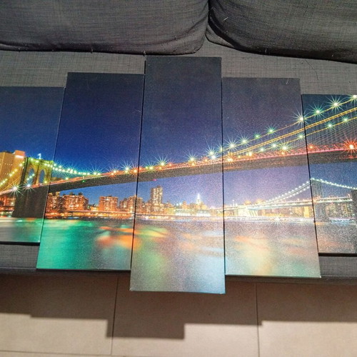 5 Piece Canvas Picture Like New