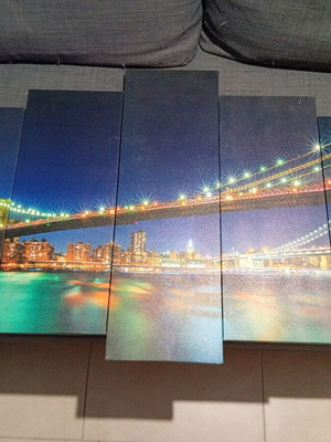 5 Piece Canvas Picture Like New