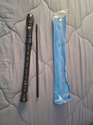 Plastic recorder like new with slightly torn case