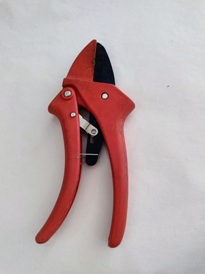 Pruning Shears with Plastic Handle used