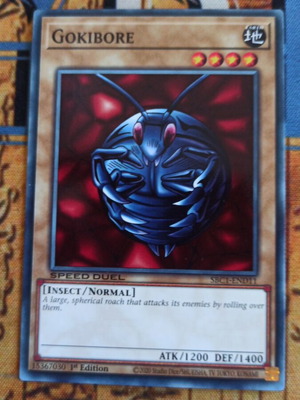 Gokibore κάρτα Yu-Gi-Oh! σαν καινούργιο, Normal Monster, Speed Duel
