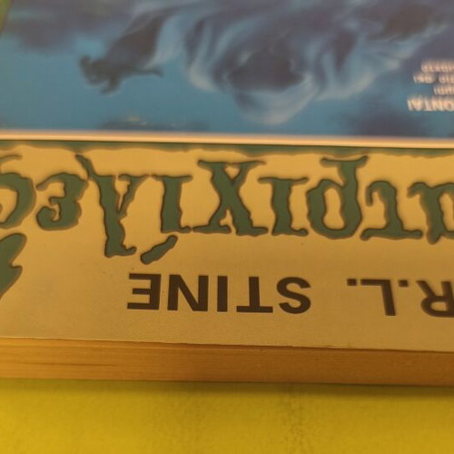 R.L. Stine Goosebumps 22 The Haunted Beach book