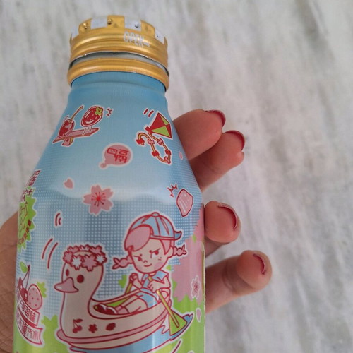 Metal bottle kawaii Japanese like new