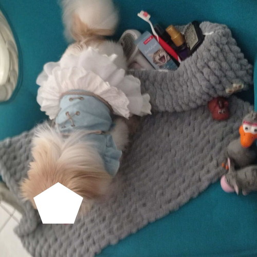Handmade pet set with Alize Puffy yarn, light gray, made to order