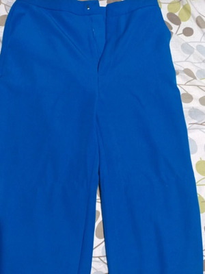 Blue Stradivarius pants new, size M 38 10, unworn
