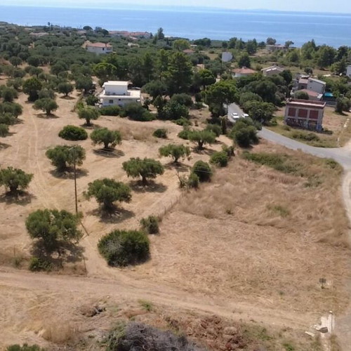 Οικόπεδο γωνιακό οικοδομήσιμο 614 τ.μ. στη Γερακινή Χαλκιδικής