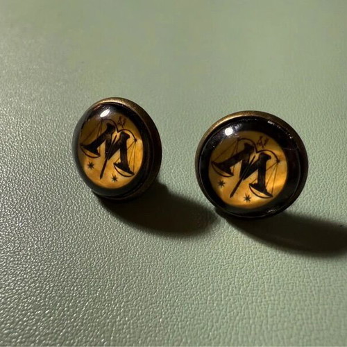 Harry Potter Ministry of Magic metal earrings like new