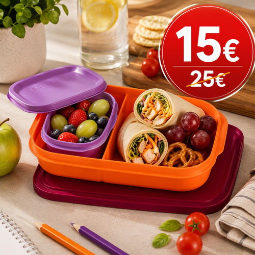 Tupperware food container with divider 590ml and mini 120ml, new