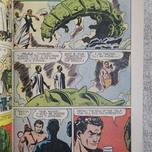 Tarzan Annual Issue No 25 used, American vintage 100 pages