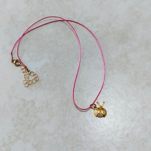 Minimalistic ladybug charm necklace elegant good luck new
