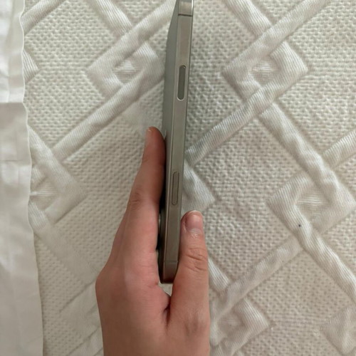 iPhone 16 Pro Max 256 GB silver with charger and case
