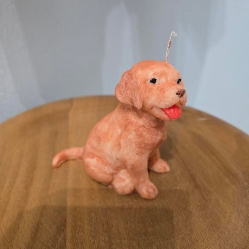 Handmade dog-shaped candle