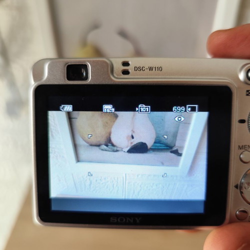 Sony Cyber-shot DSC-W110 camera like new