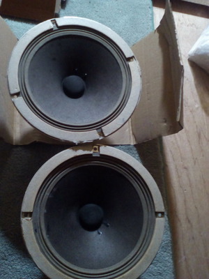 Woofers 8'' 100W RMS μεταχειρισμένα, επαγγελματικά μεγάφωνα, πακέτο 2