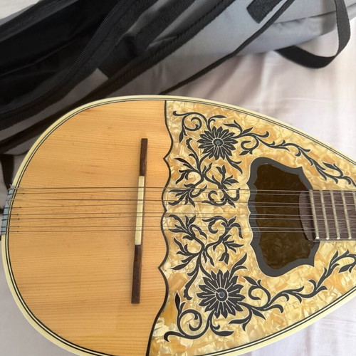 Bouzouki with case and pick like new
