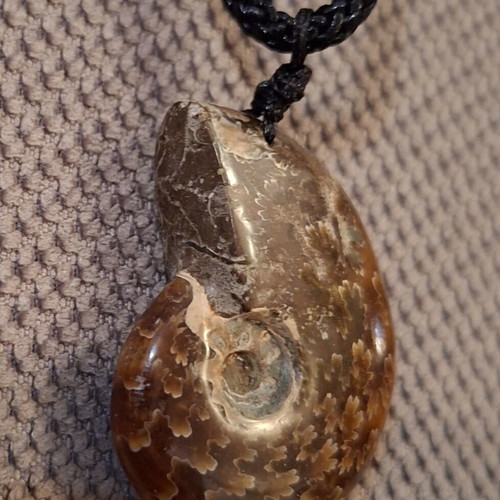 Ammonite pendant necklace, polished, adjustable string