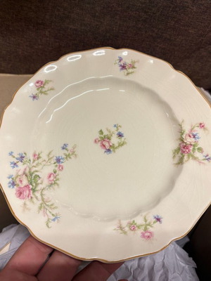 Old Chelsea porcelain dinnerware set used