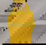  Paw patrol