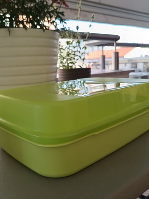 Tupperware Delis 2.5 Liter New