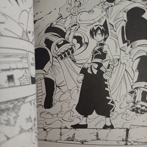 Shaman King Volume 13 Viz Media like new English edition
