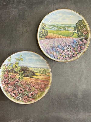 Σετ 2 πιάτα τοίχου πορσελάνης καινούργια με αγρούς και λουλούδια