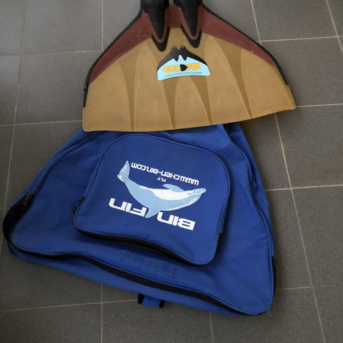 Technical swimming fin used, size 39 with case