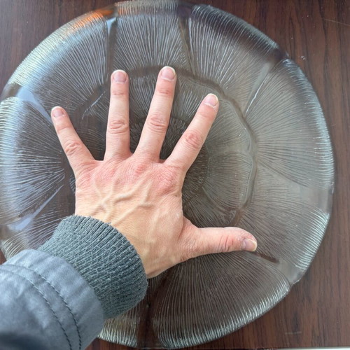Vintage glass platter with embossed petals used