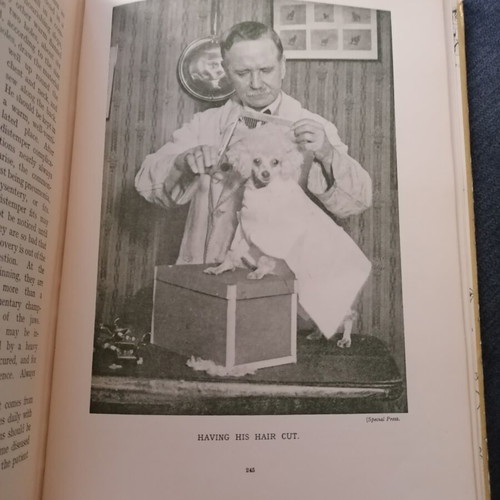 Pets and How to Keep Them book used