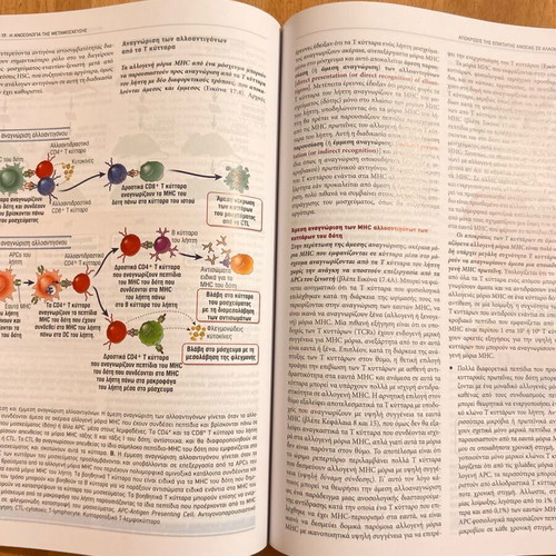 Cellular and Molecular Immunology used
