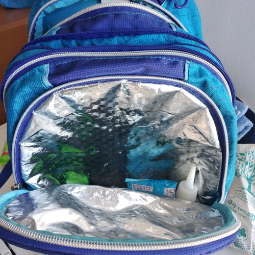 KALGAV school bag used with insulated lunch compartment and trolley