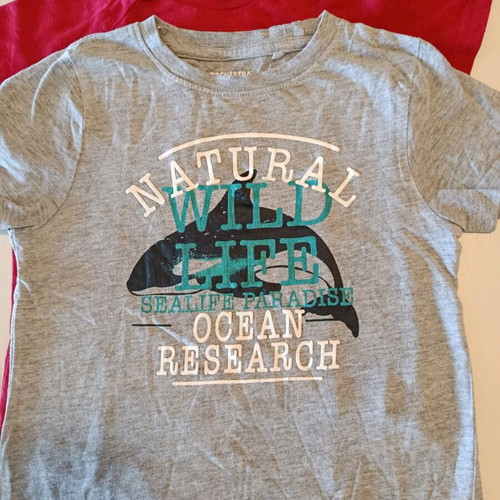 Pack of 4 t-shirts and jacket like new for 3 years old