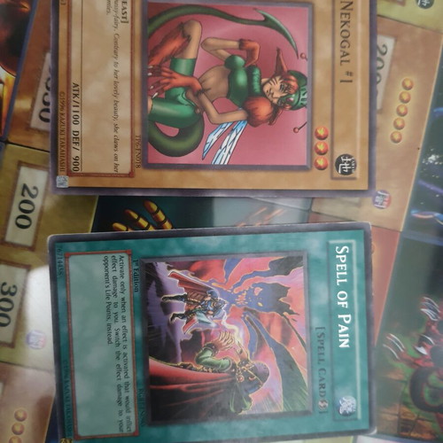 Yu-Gi-Oh! Nekogal #1 and Spell of Pain cards