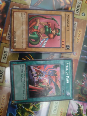 Yu-Gi-Oh! Nekogal #1 and Spell of Pain cards