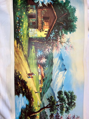 Vintage poster Old Village Countryside 37x79 year 73 new