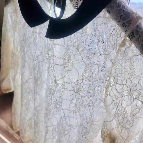 Sheer lace blouse with black Peter Pan collar like new
